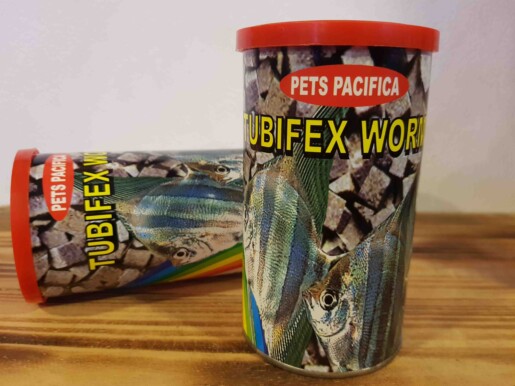 download live tubifex worms for sale