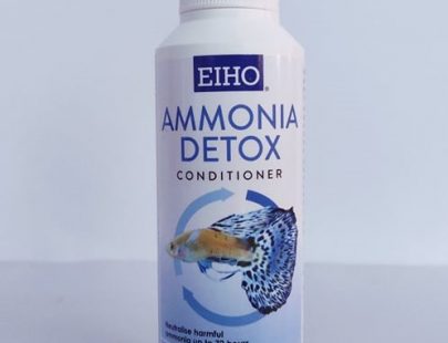 Ammonia Detox