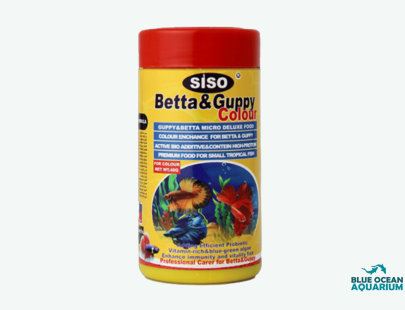 SISO Betta & Guppy 2