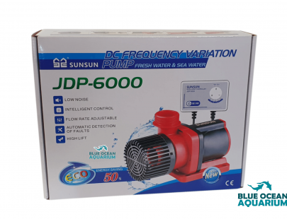 JDP-6000